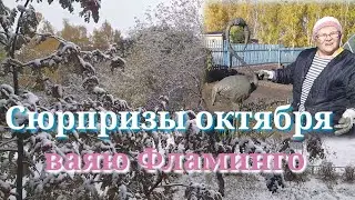 #Снежок