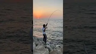 Fish on barracuda 🎣