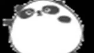 PANDA DANCE! :D!!!!