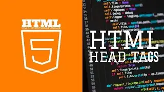 HTML Head Tag || HTML5 BASIC HEAD TAGS #viral #html