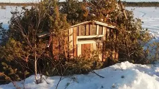 Домик на болоте.