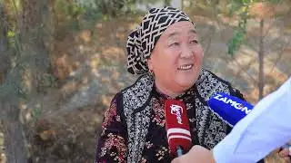 АВТОМАБИЛ ЙЎЛИ УЧУН НЕГА ПАТТА ПУЛИ ОЛИНАЯПТИ?