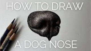 How to draw a realistic dog nose in coloured pencil | Drawing Tutorial
