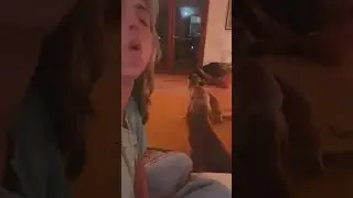 warming up with my back-up singers 🐕