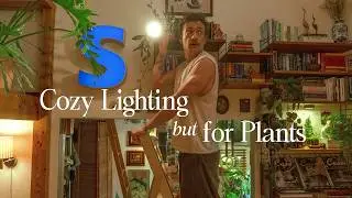 Grow Lights That Make Your Home Beautiful (No Grow Tent Look!)