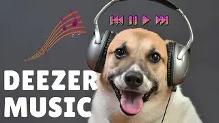 How to Listen to Music Offline on Deezer 🎵