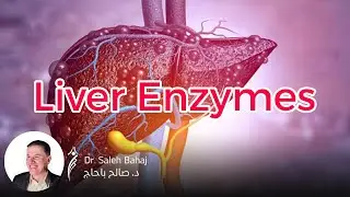 2. Liver Enzymes