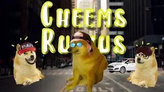 Cheems Rubius /Hombres G/ Luchando por el amor de mangel/ memes Cheems/