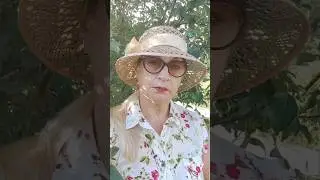 ЧТО ВЫ ВИДИТЕ?
