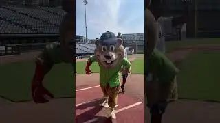 Chopper, Qualon, baseball, and YOU!