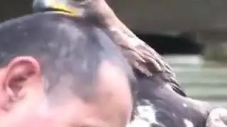 Самое милое видео
