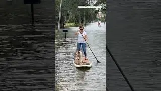 Protecting Your Pets During A Hurricane