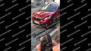 Codegrabber Pandora Fantom VS Peugeot 3008