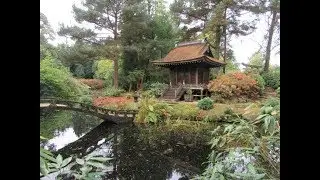Уголок японского сада, Таtton Park, Великобритания