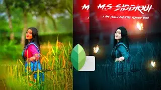 New Snapseed Background Colour Change Tricks | Snapseed Background Editing - Snapseed Photo Editing/