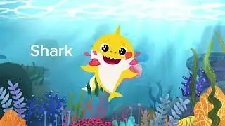 🌊 Underwater adventures! 🐠🐙🐬 Fun Sea Animals Song for Kids | Edu Kids