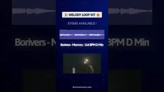 LOOP KIT | Borivers - Memory - 164 BPM D Min...🎉 
