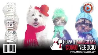 Ropa para Mascotas como Negocio