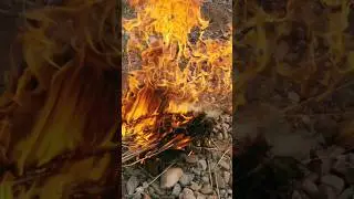 Хороший отдых