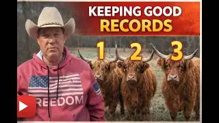 How Many Cows Do We Actually Have? Ranch Reality Check