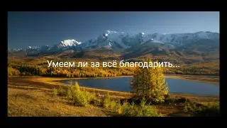 Умеем ли за всё благодарить...