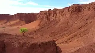 ЗЕЛЕНЬ Иваси