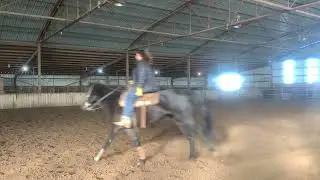 Zoom loping right