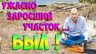 ▶Дача в Краснодарском крае ✔ Купил заросший участок ✔