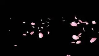 VIDEO BACKGROUND FULL HD / effect hoa hong