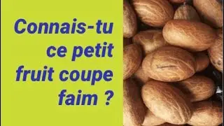 LES BIENFAITS DU PETIT COLA