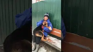 Мы и наши собачки поздравляем вас с новым годом! 