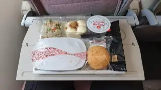 EMIRATES A380-800 🇦🇪  DUBAI→PARIS
