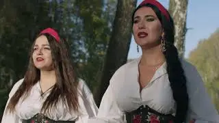 Фолк-шоу 