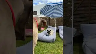 ОСКАР ИСПОРТИЛ ДЖОНИ ЖИЗНЬ 😢 @lenta_com
