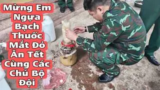 Cremello Meat for Soldiers to Celebrate Tet 2026 | BẠCH MÃ TV