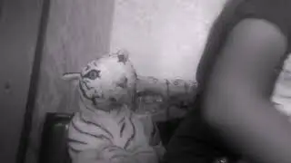 Мой альбом Леди баг и Супер кот