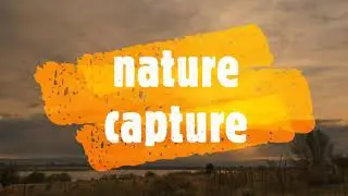 Nature | Capture | Adventure