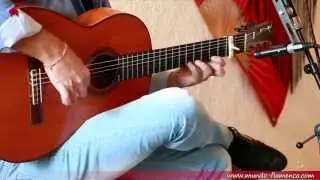 Antonio Rey, Rondeña