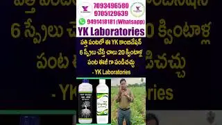 #పత్తి పంటలో ఈ #YK కాంబినేషన్ 6 స్ప్రేలు చేస్తే చాలు 15-16 క్వింటాళ్ల #vaayu#yantra #cotton | YK Lab