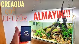 CREAQUA BUBBLEGUN BİTKİLİ AKVARYUM CO2 DİFÜZÖRÜ 