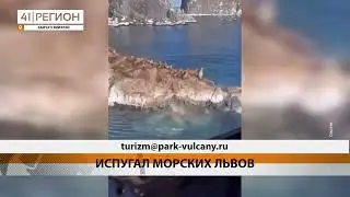 ВЕРТОЛЁТЧИК НАПУГАЛ КРАСНОКНИЖНЫХ ЖИВОТНЫХ • НОВОСТИ КАМЧАТКИ