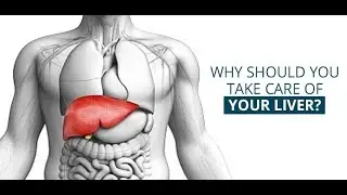 Detox Your Liver || The 6 Super Foods that Naturally Cleanse Your Liver.
