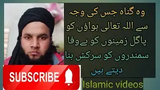 The sin that caused Allah Ta'ala crazy about the wind|Aqal deen islamic|