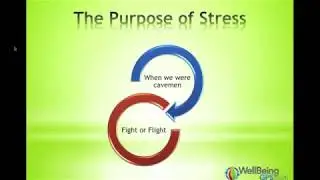 Stress - How it Affects Us and How to Change That // WellBeingGPS.co