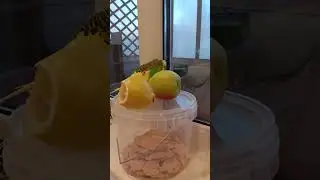 Попугайчик и фруктики