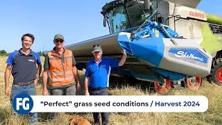 Perfect grass seed conditions | Harvest 2024