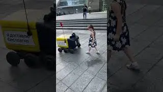 Полинка против Яндекс доставки))