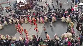 Datini si traditii romanesti - Jocul Ursilor la Suceava 2024