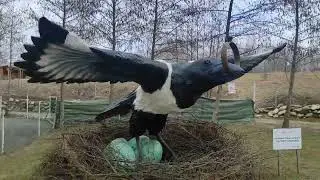 Căsuța întoarsă! Brambura, Valea Avrigului!