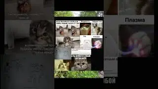 #мемы #мемчики #mem #мем #юмор #мемчик #кот #прикол #мемасики #memasik